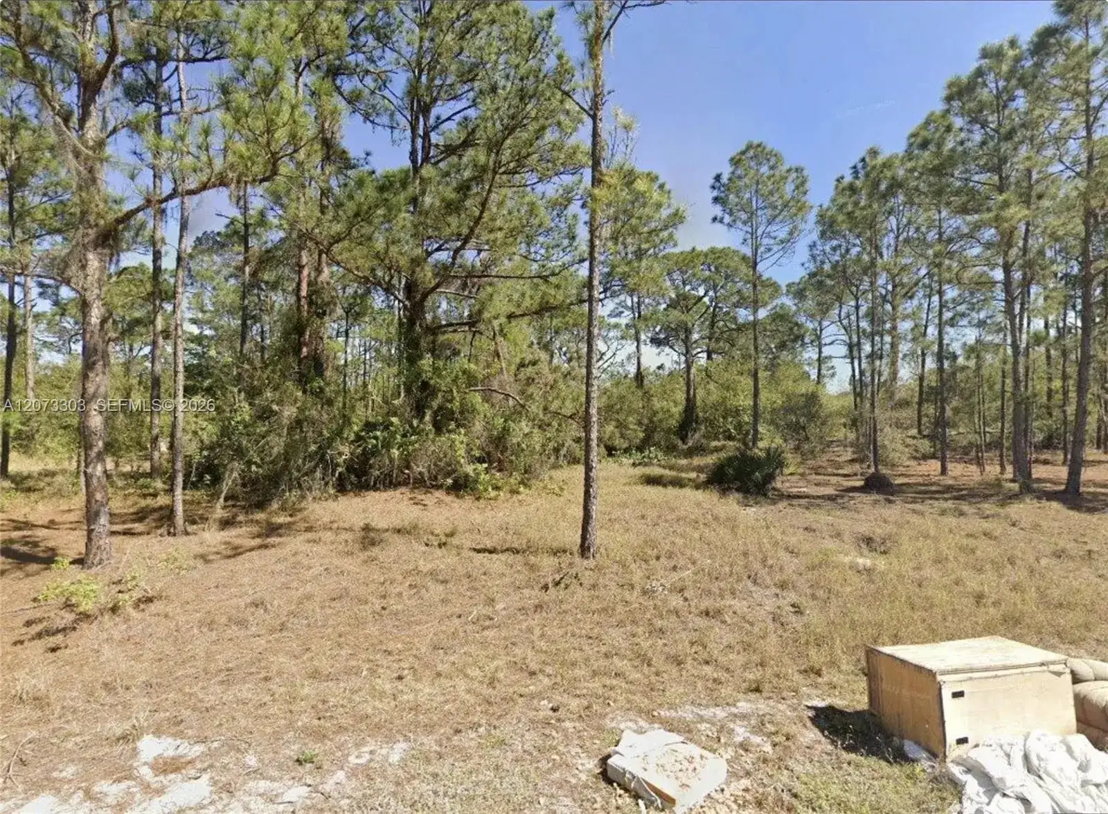 613 Lynn court, Lake Placid FL 33852