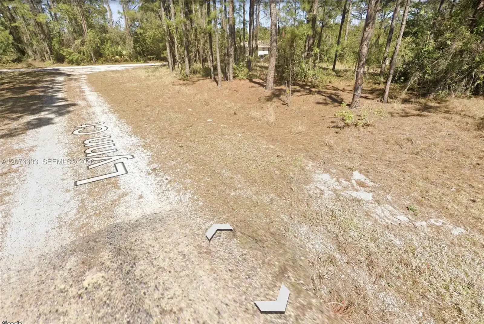 613 Lynn court, Lake Placid FL 33852 photo 3