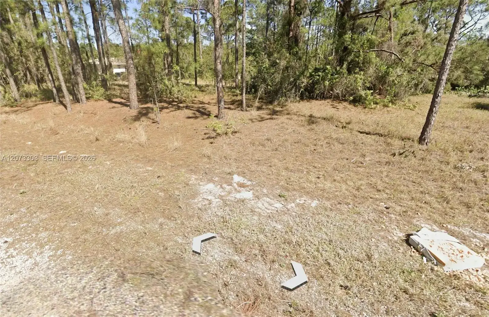 613 Lynn court, Lake Placid FL 33852 photo 5