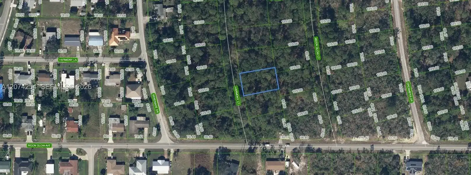 209 Harmony Court, Lake Placid FL 33852