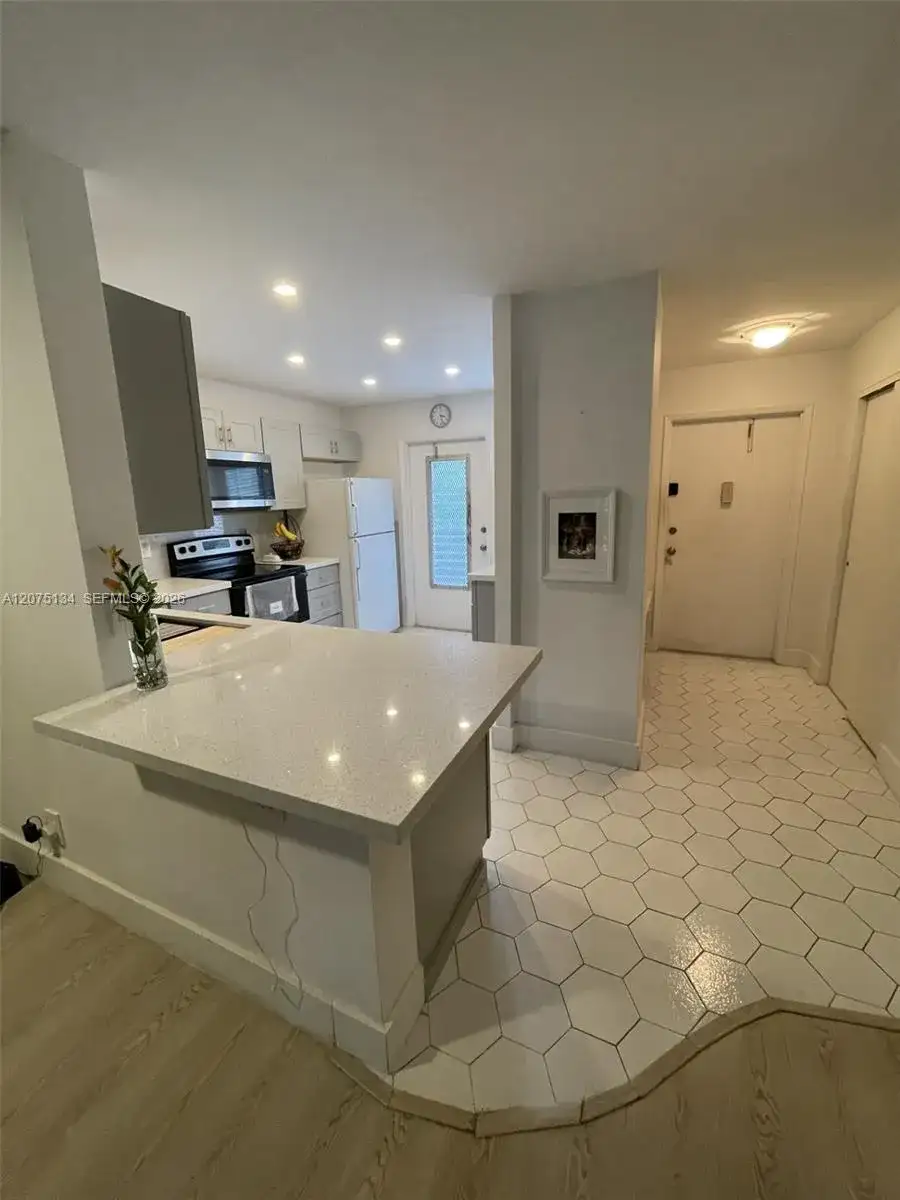 1000 NE 14th Ave # 211, Hallandale Beach FL 33009 photo 5