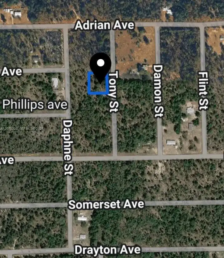 0 TOBY ST, Palatka FL 32148 photo 2