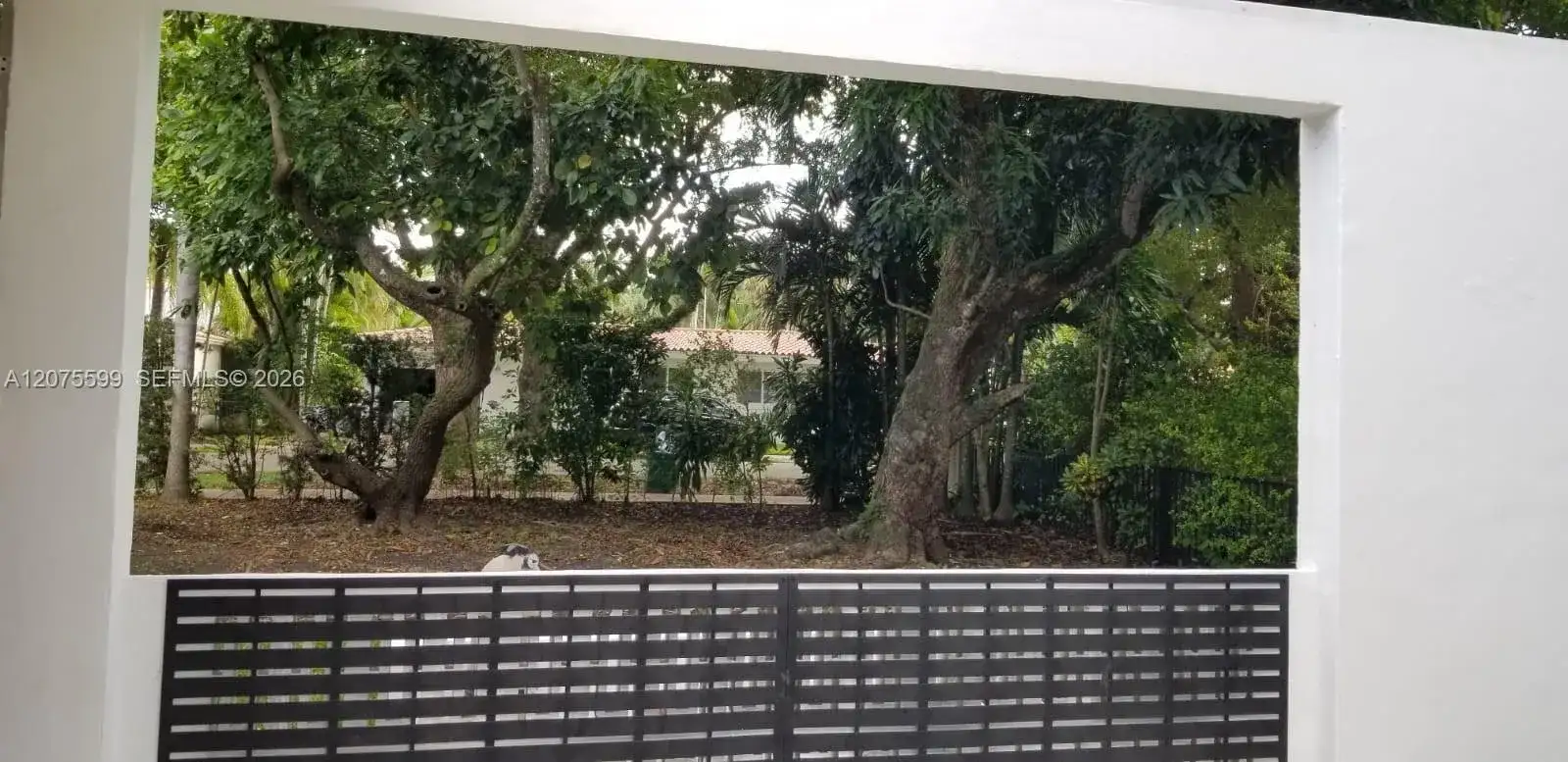 702 Tibidabo Ave, Coral Gables FL 33143 photo 3