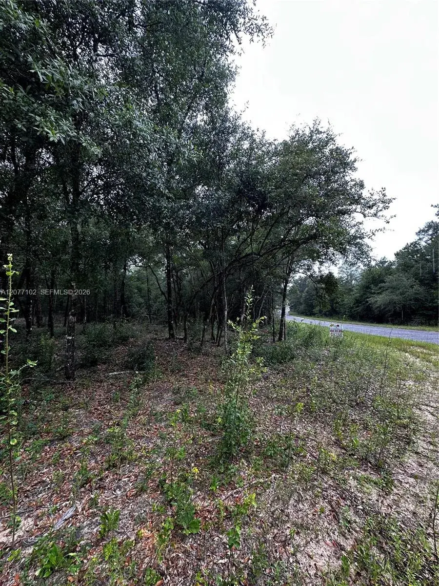 0000 Diane Place, Other City - In The State Of Florida FL 32428