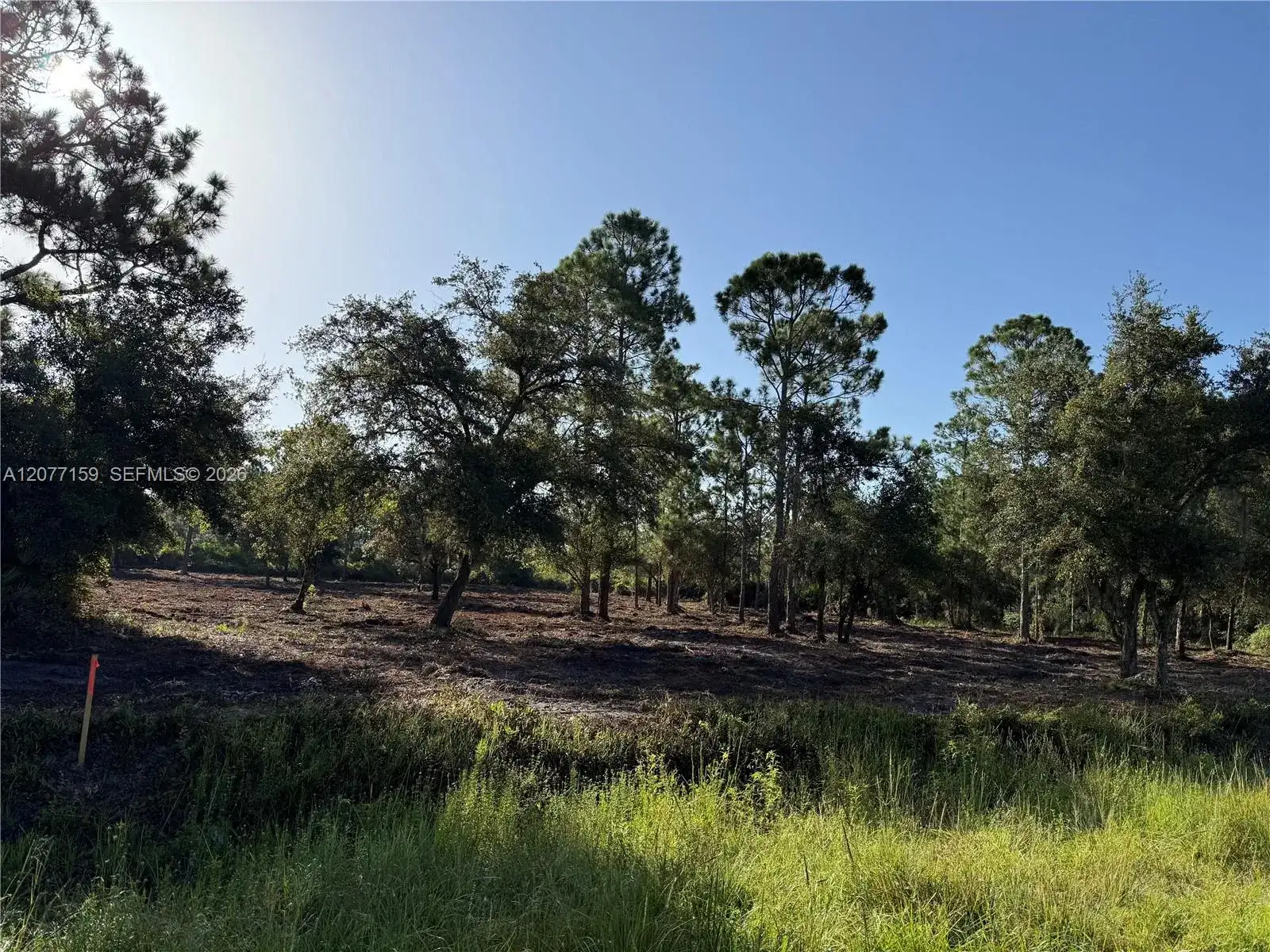 565 S PALOMINO ST, Clewiston FL 33440 photo 2
