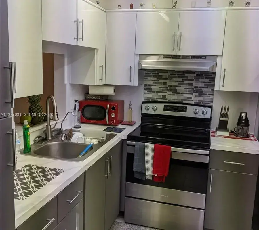 233 NE 14th Ave # 205, Hallandale Beach FL 33009