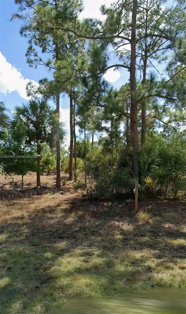 536 Hunting Club Ave, Clewiston FL 33220 photo 3