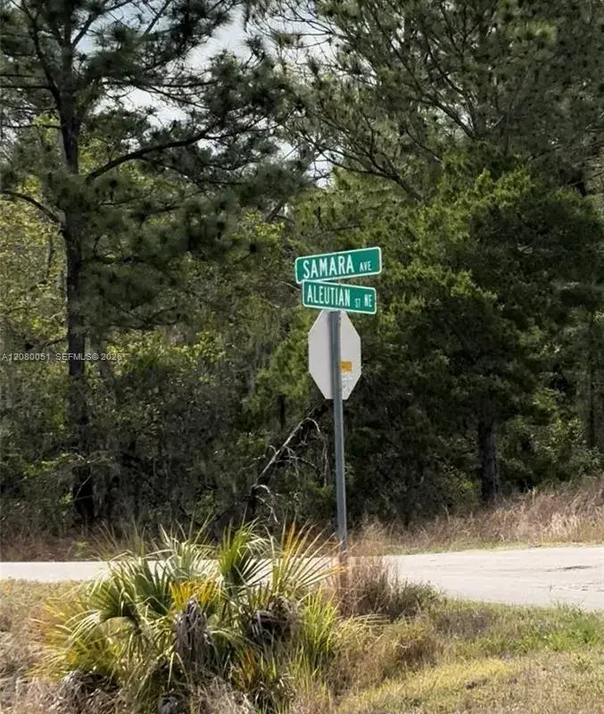1215 Aleutian St NE, Lake Placid FL 33852