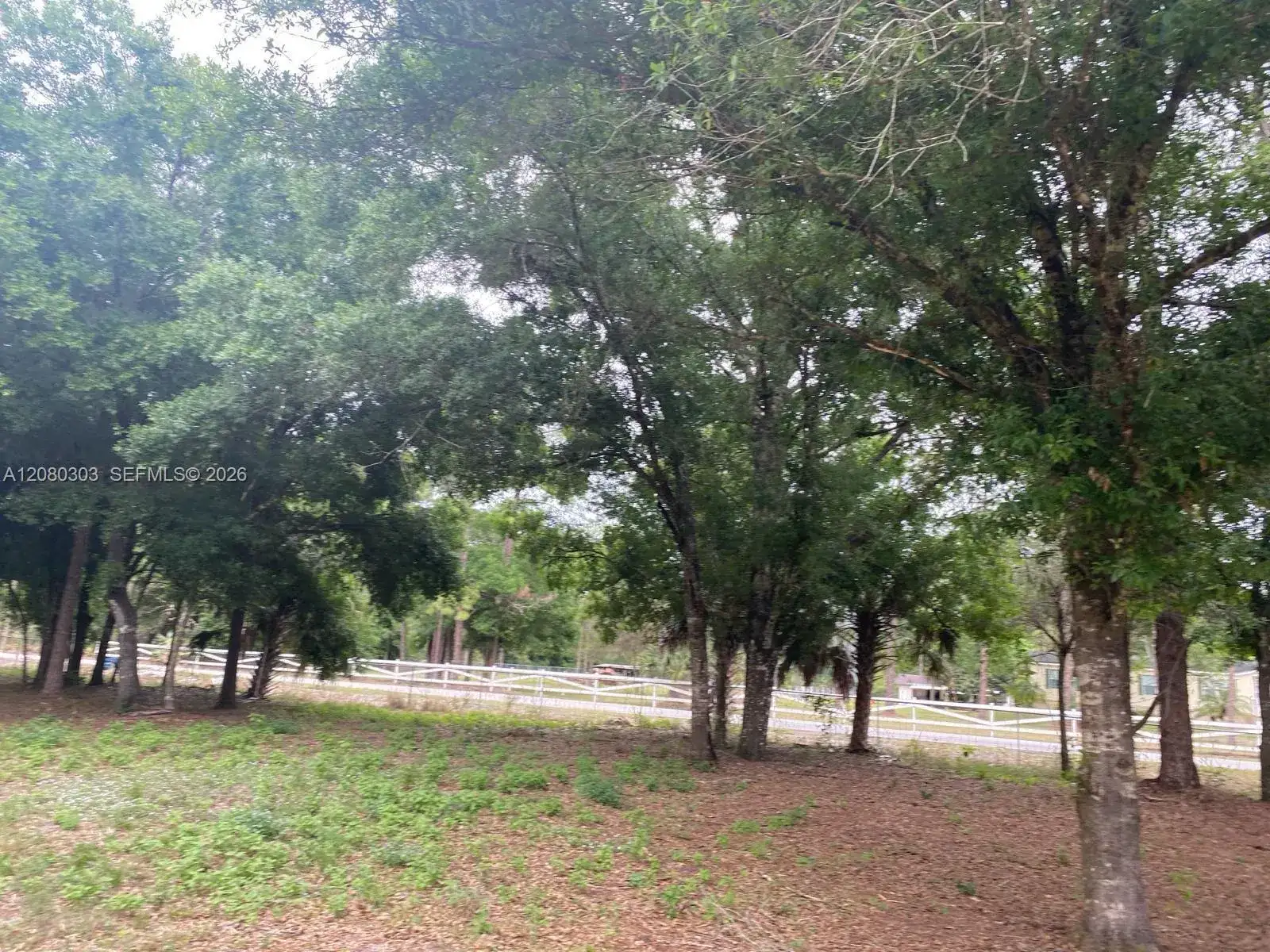4320 Hendry Isles Blvd, Clewiston FL 33440 photo 2
