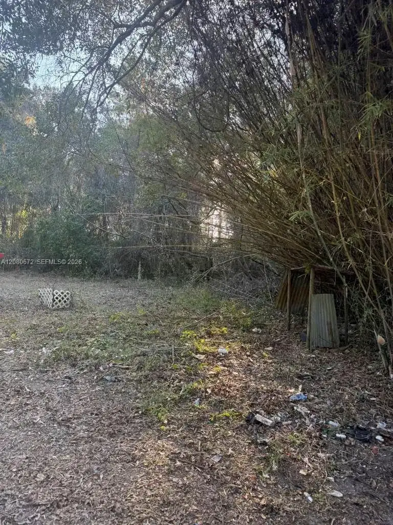 2212 NE Washington ST, Other City - In The State Of Florida FL 32055 photo 5