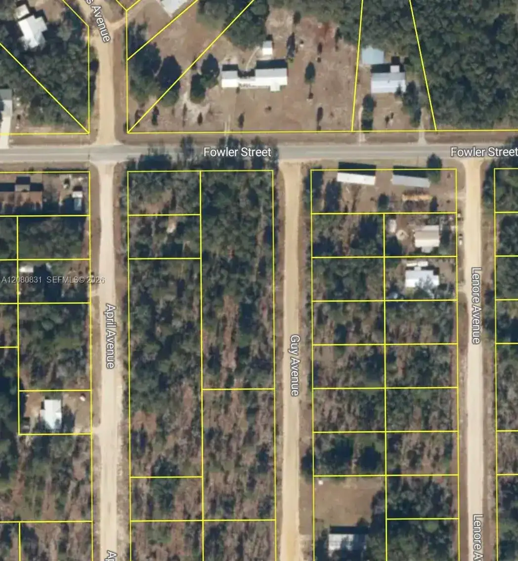 0 Guy Avenue, Other City - Not In The State Of Florida FL 32148 photo 3