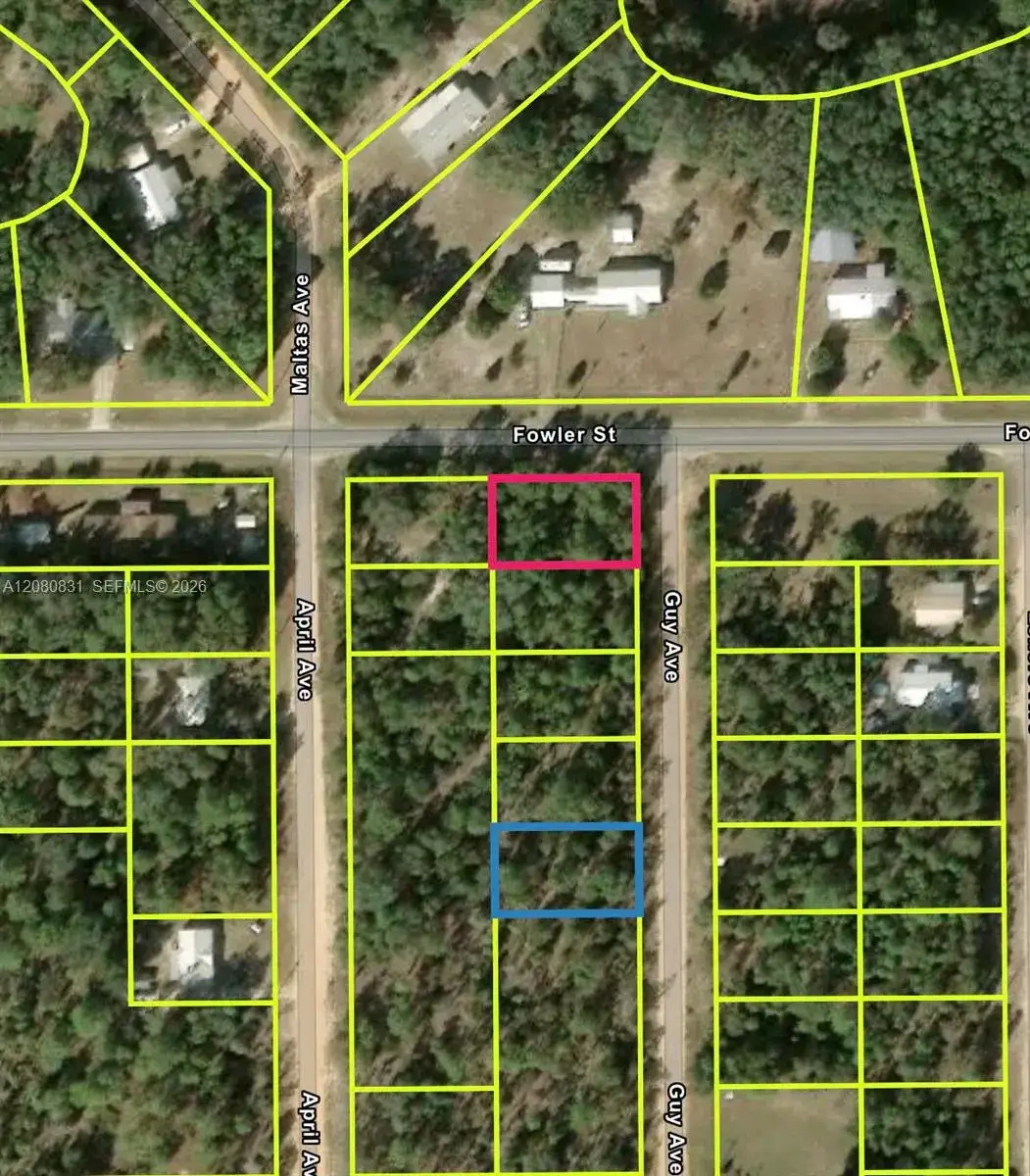 0 Guy Avenue, Other City - Not In The State Of Florida FL 32148 photo 4