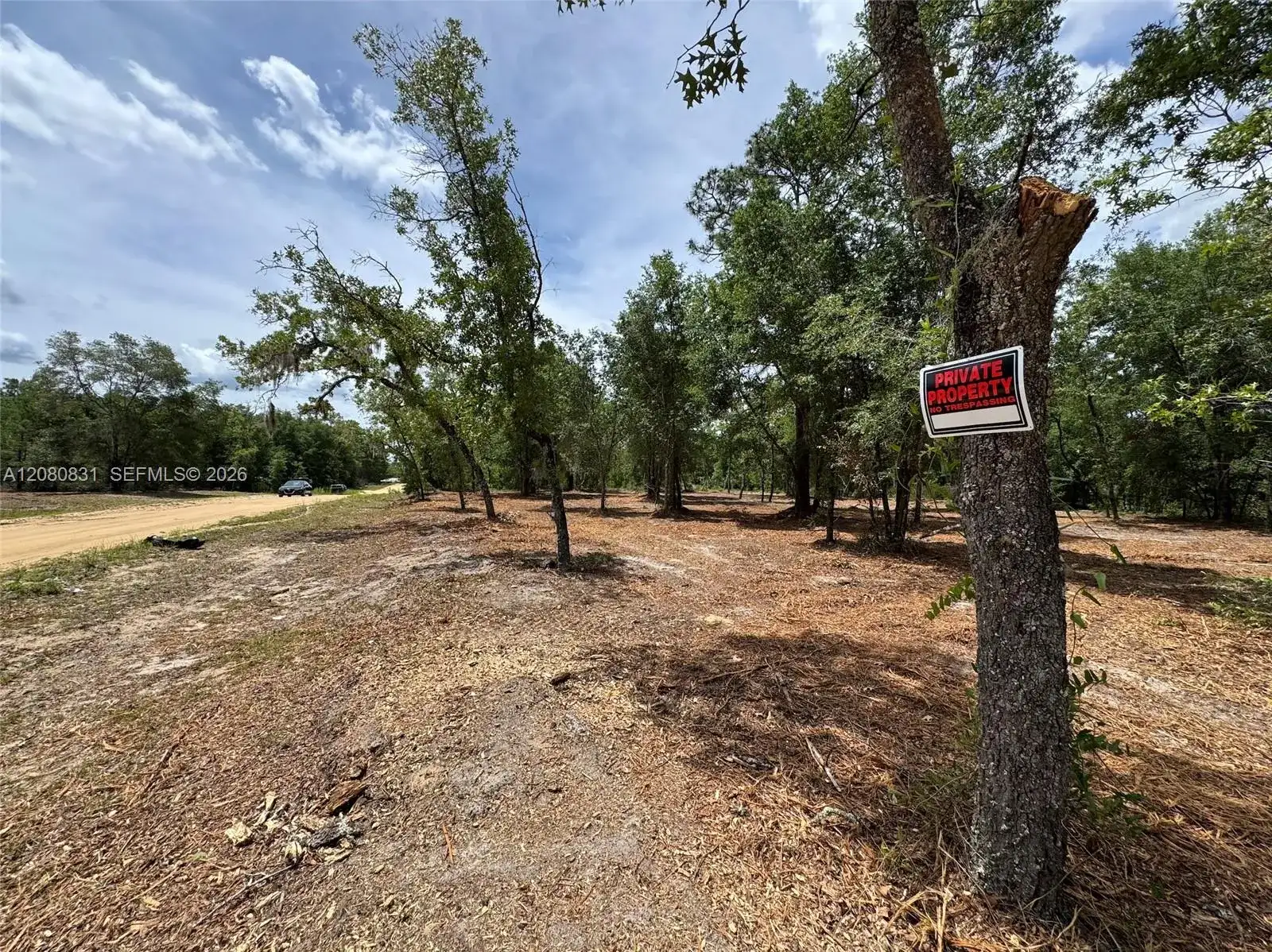 0 Guy Avenue, Other City - Not In The State Of Florida FL 32148 photo 5