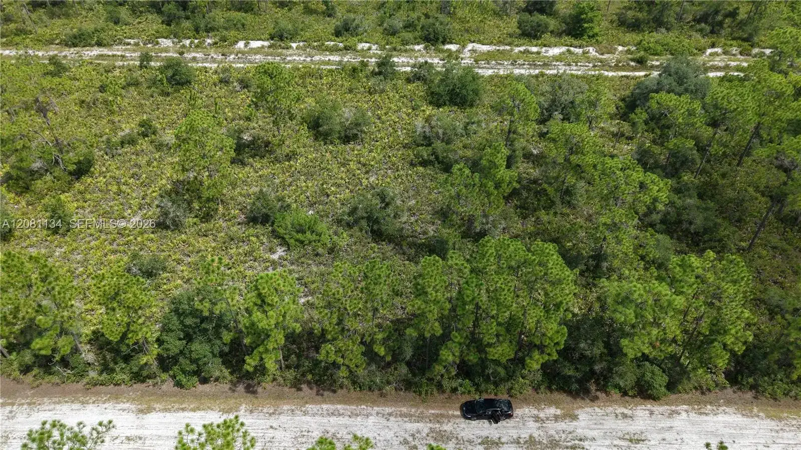 Eldorado Eldorado, Other City - In The State Of Florida FL 33855 photo 3
