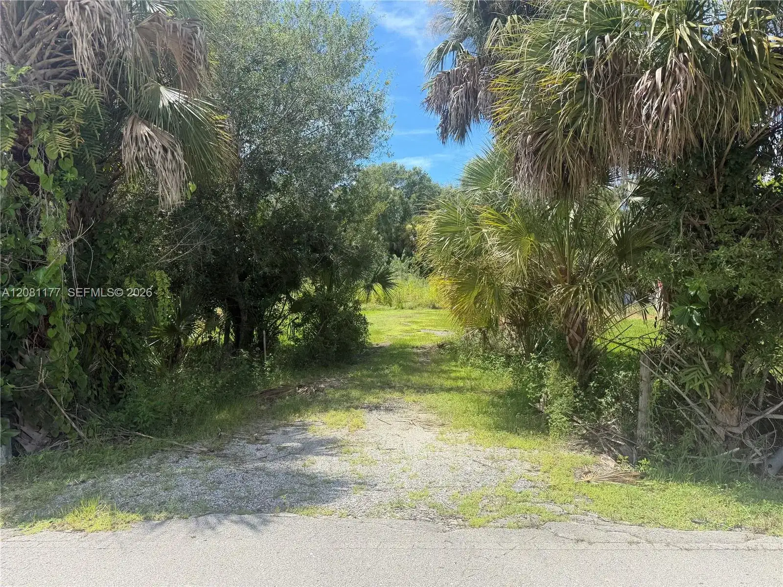 869 Avalon Ave, La Belle FL 33935 photo 2