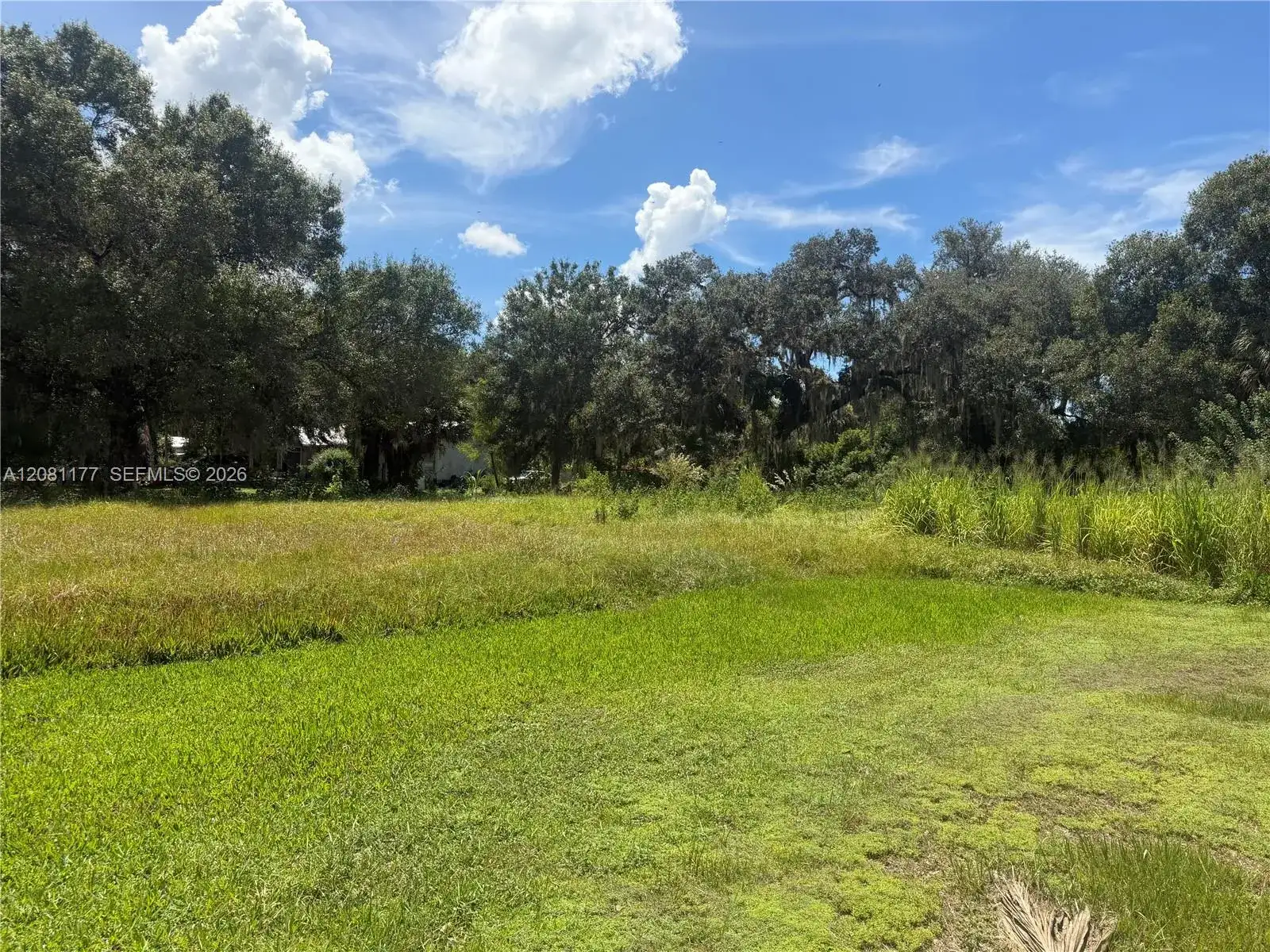 869 Avalon Ave, La Belle FL 33935 photo 4
