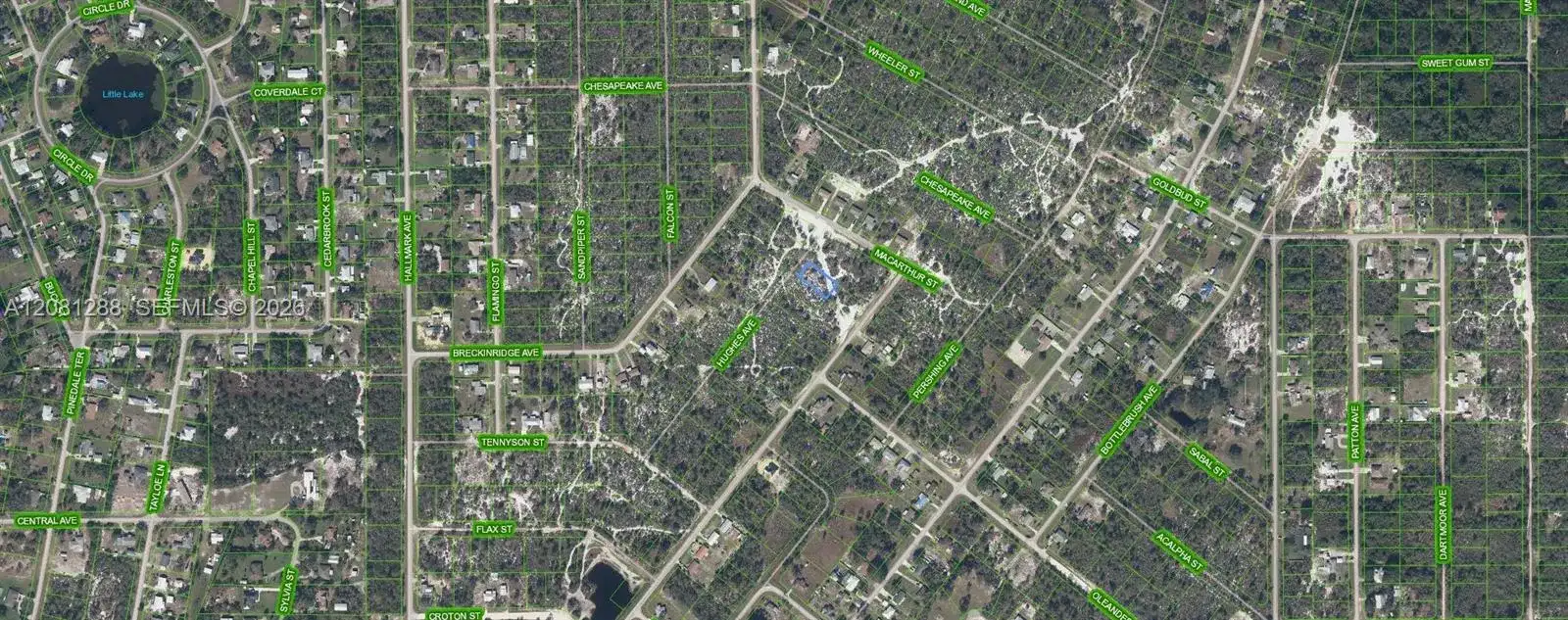 1073 Hughes Ave, Lake Placid FL 33852 photo 2