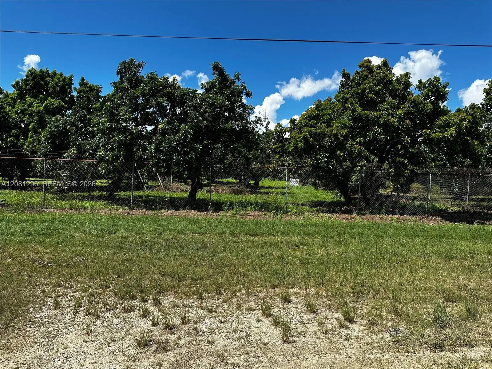 179XX SW 182 AV, Miami FL 33187 photo 3