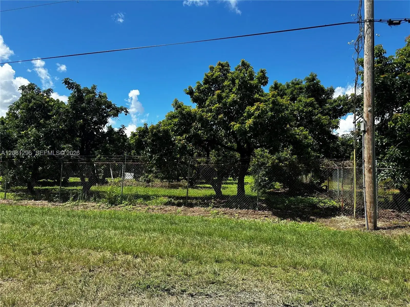 179XX SW 182 AV, Miami FL 33187 photo 4