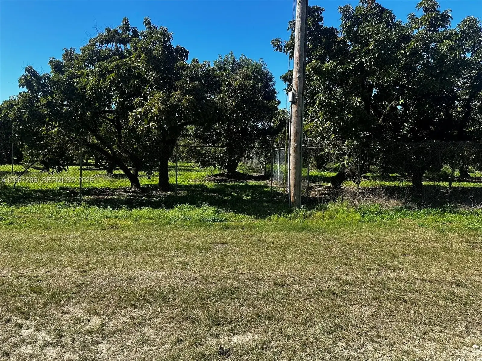 179XX SW 182 AV, Miami FL 33187 photo 5