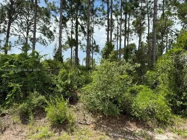 3607 Peugeot St, Sebring FL 33872 photo 3