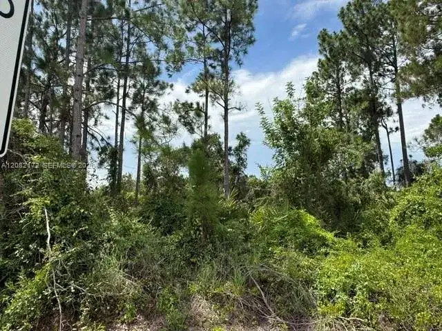 3607 Peugeot St, Sebring FL 33872 photo 4