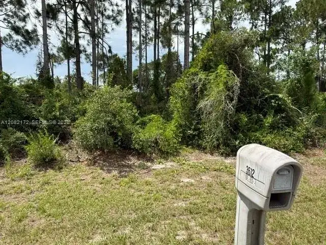 3607 Peugeot St, Sebring FL 33872 photo 5
