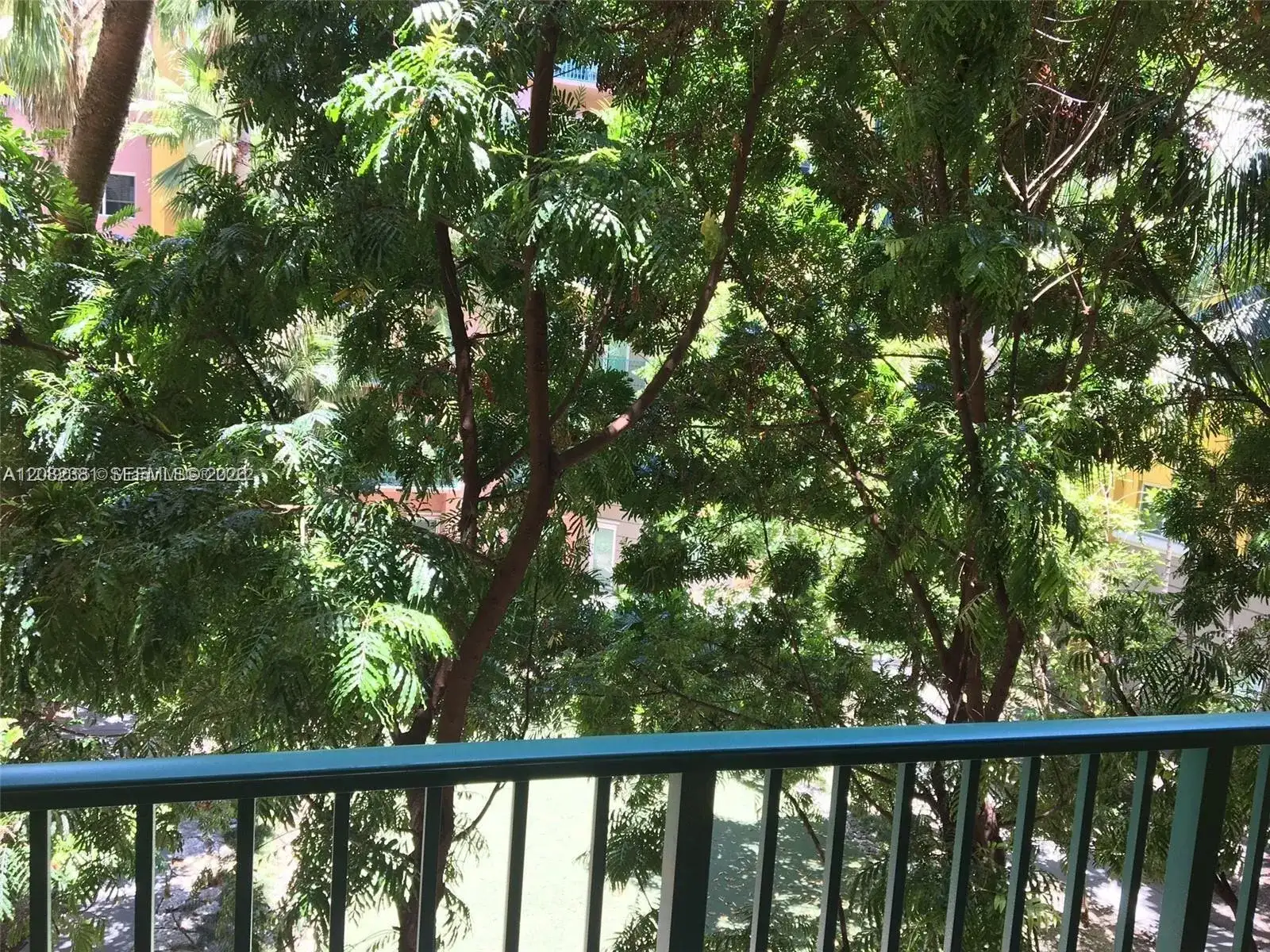 6001 SW 70 ST # 324, South Miami FL 33143 photo 5