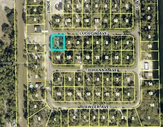 315 LUDLOW AVENUE, Lehigh Acres FL 33972