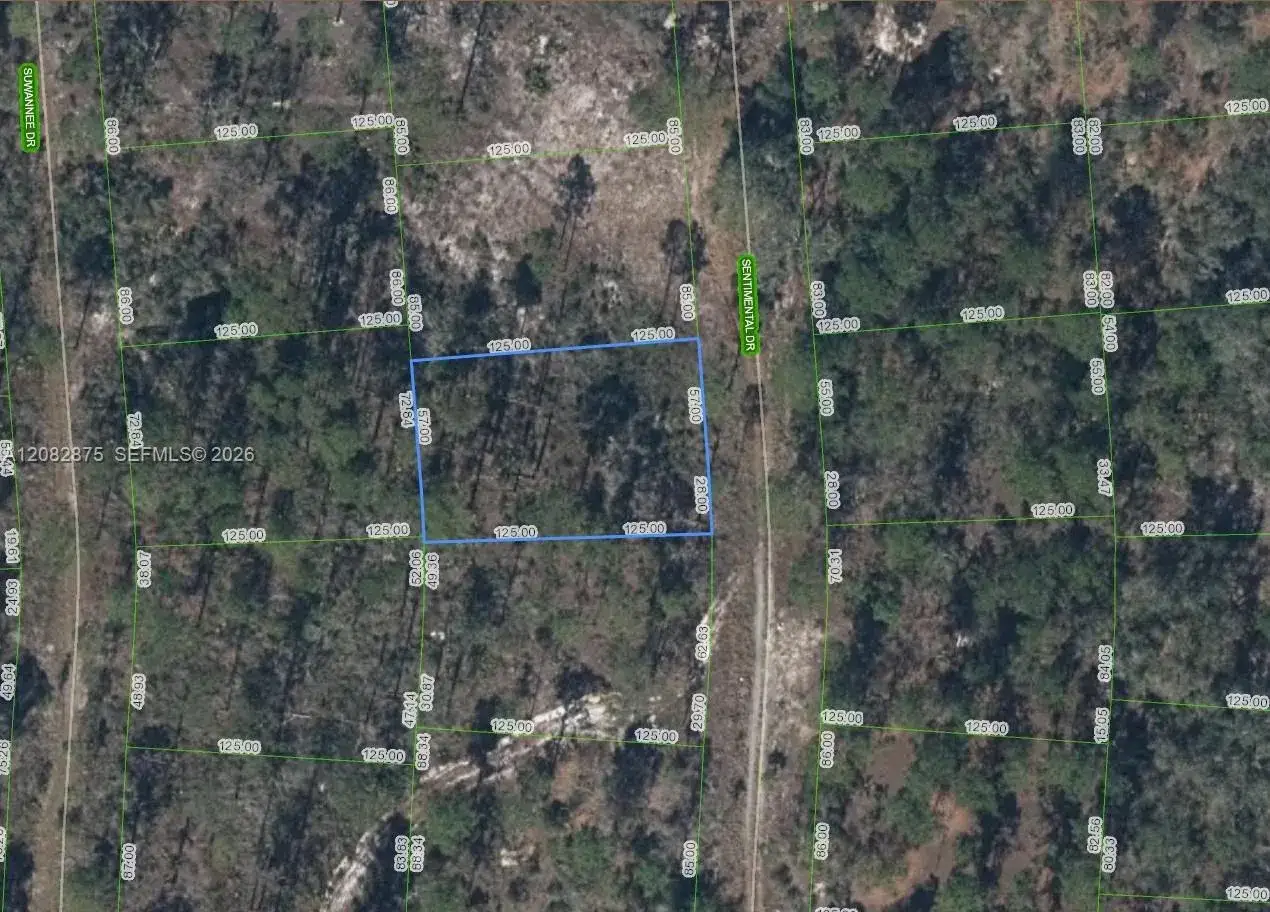 264 Sentimental Dr, Lake Placid FL 33852
