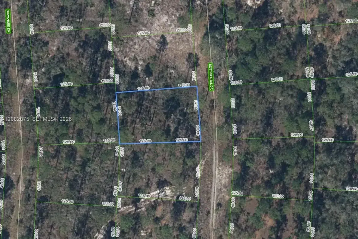264 Sentimental Dr, Lake Placid FL 33852