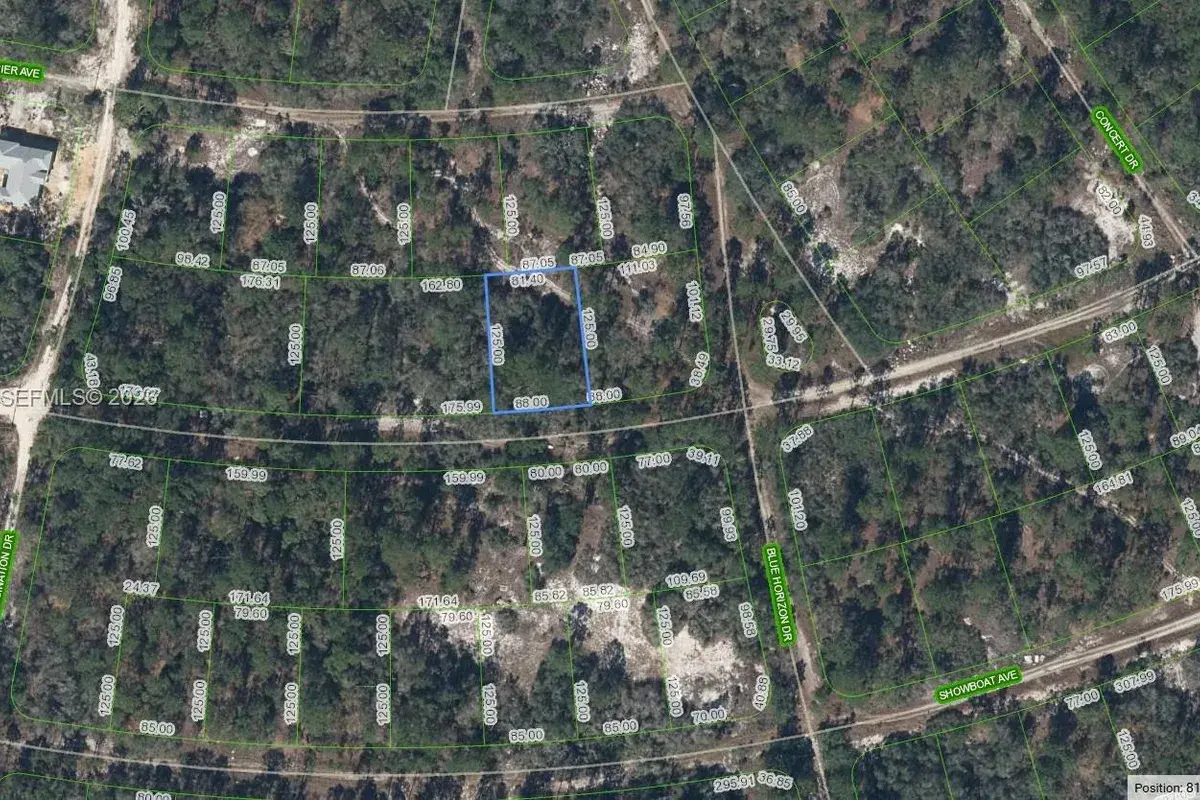358 Cartier Ave, Lake Placid FL 33852