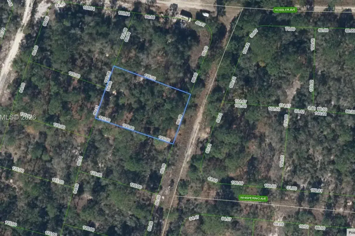 332 Sunnyside Dr, Lake Placid FL 33852