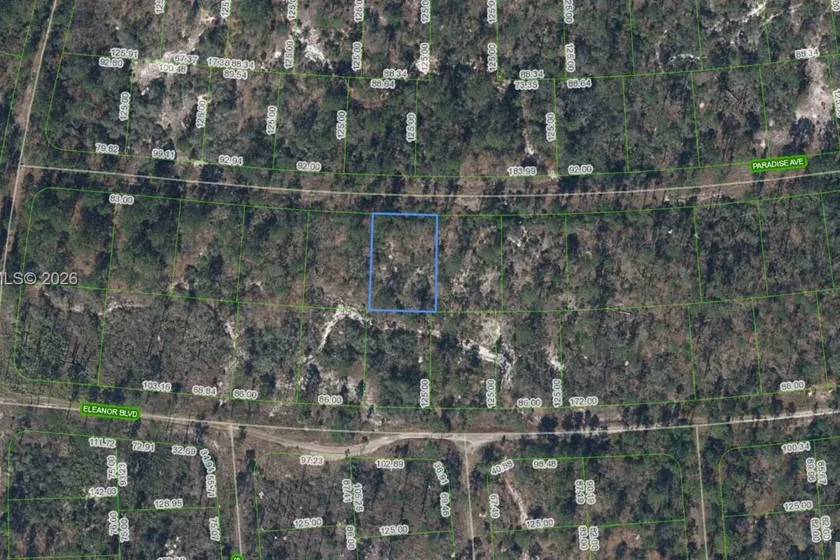359 Paradise Ave, Lake Placid FL 33852