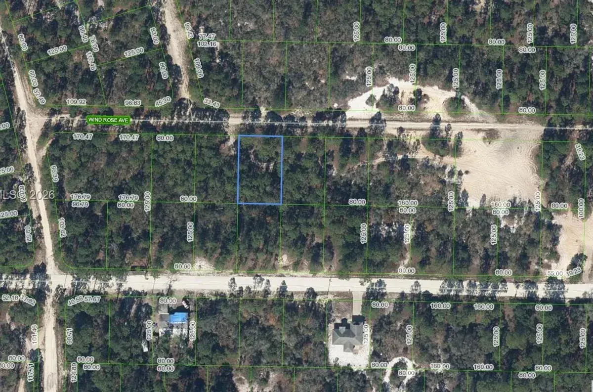 411 Wind Rose Ave, Lake Placid FL 33852