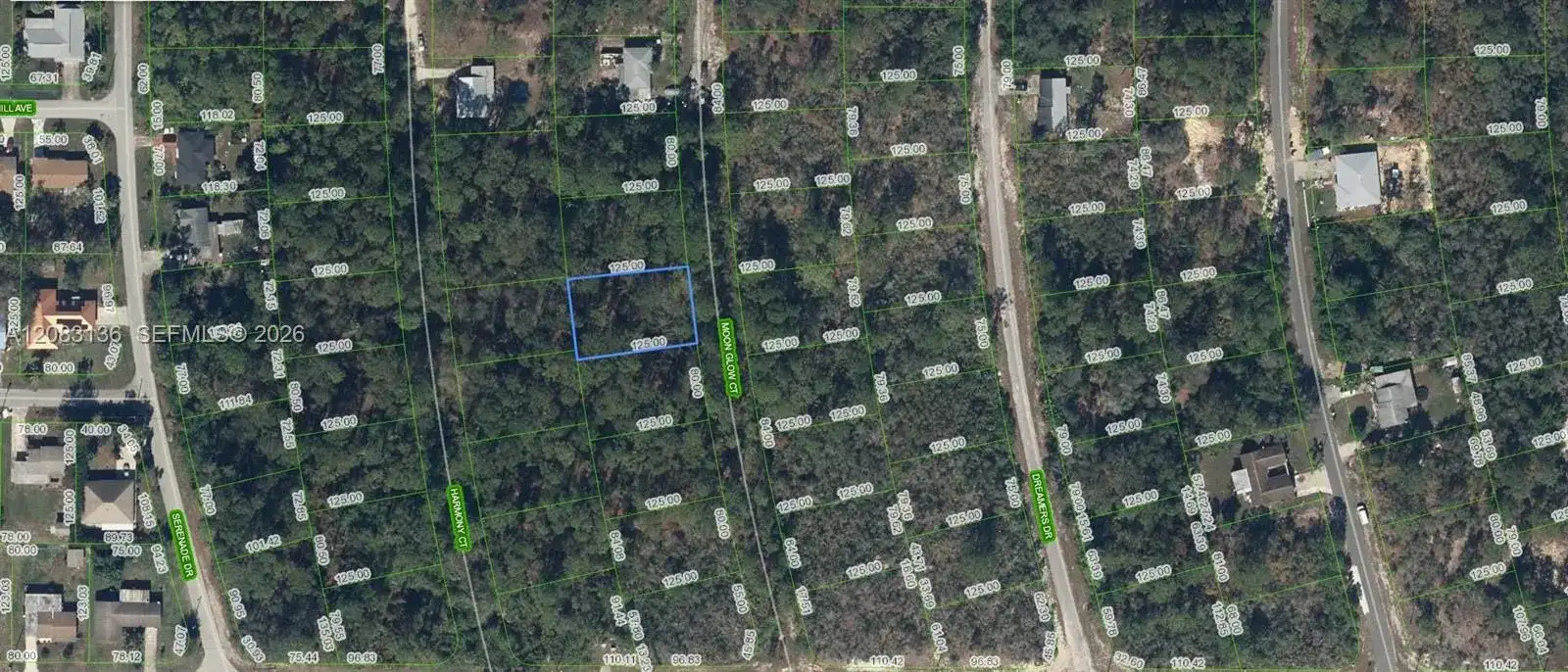 218 Moon Glow Court, Lake Placid FL 33852