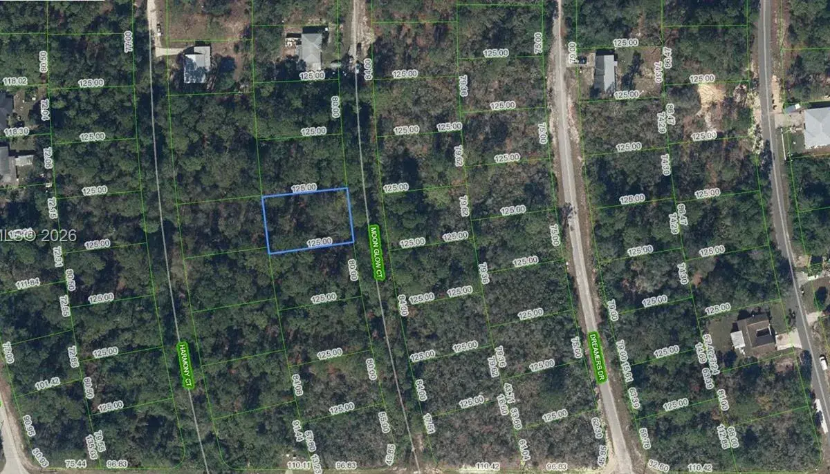 218 Moon Glow Court, Lake Placid FL 33852