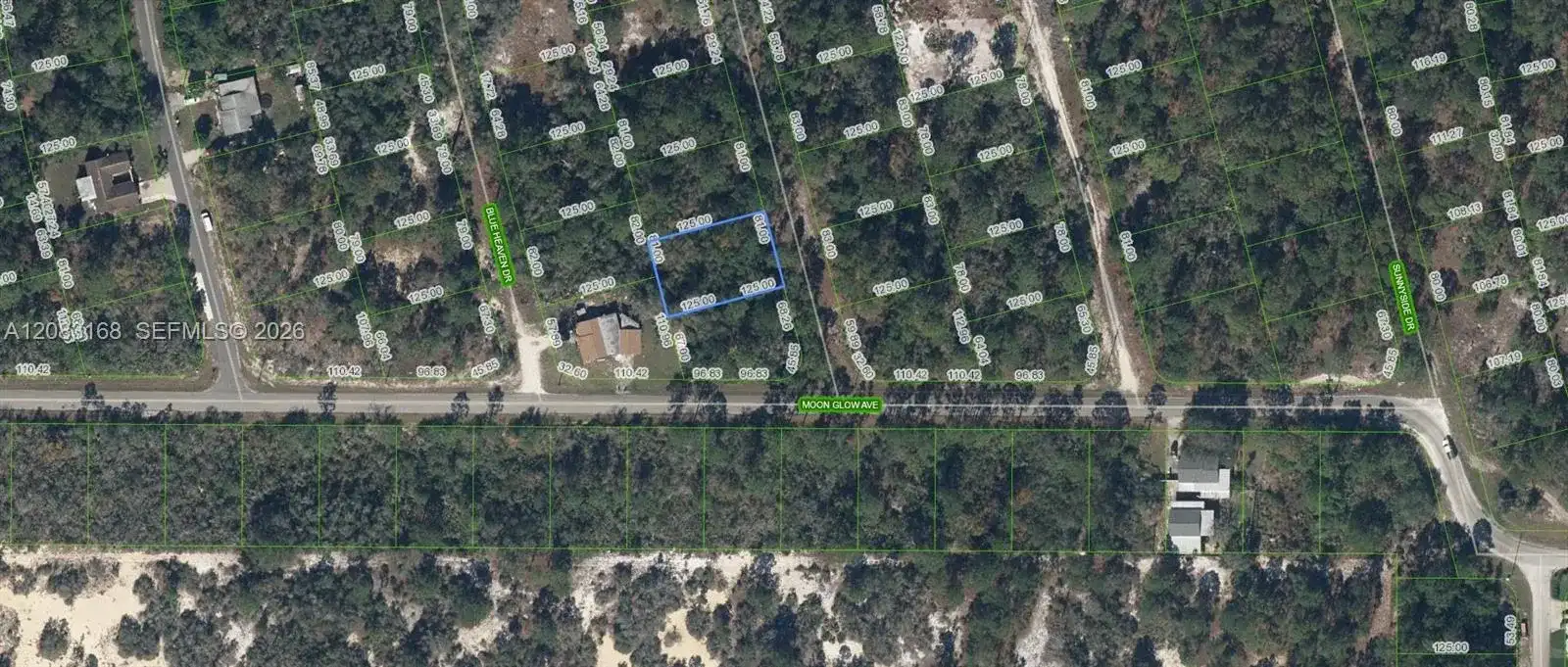 204 Rainbow Drive, Lake Placid FL 33852