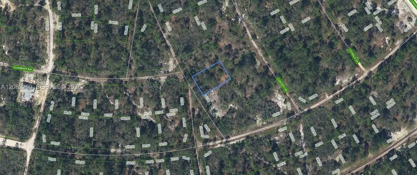 379 Blue Horizon Drive, Lake Placid FL 33852