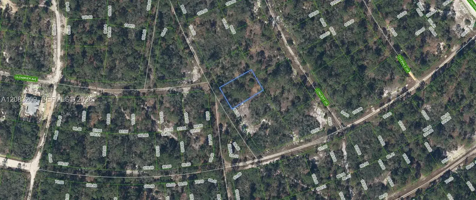 379 Blue Horizon Drive, Lake Placid FL 33852