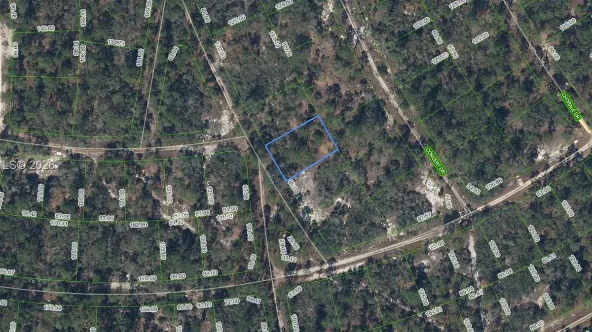 379 Blue Horizon Drive, Lake Placid FL 33852