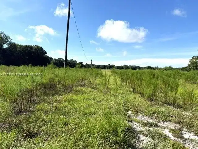 3003 Hicks Rd, Lorida FL 33857 photo 2