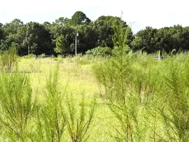 3003 Hicks Rd, Lorida FL 33857 photo 3