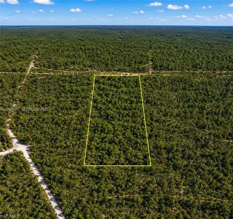 XXXX Woodland Grade Rd, Other City - In The State Of Florida FL 34117 photo 3