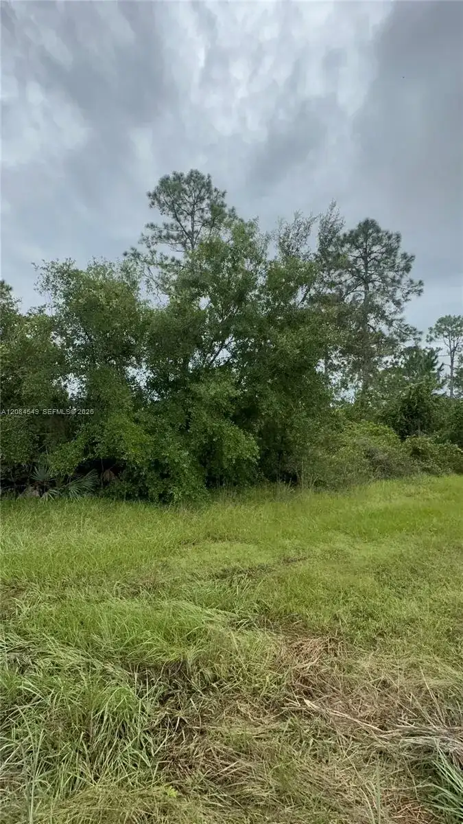 1345 Sable Palm, Other City - In The State Of Florida FL 32709 photo 2