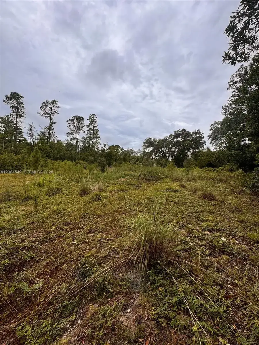 1345 Sable Palm, Other City - In The State Of Florida FL 32709 photo 3