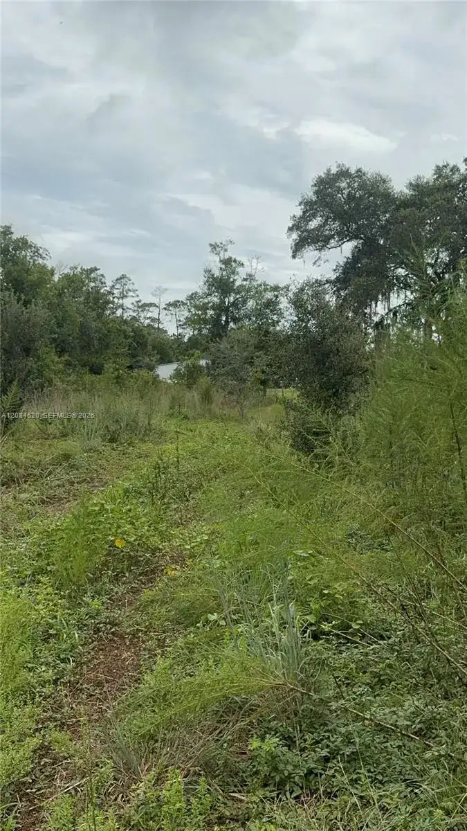 1219 Sable Palm, Other City - In The State Of Florida FL 32709 photo 2