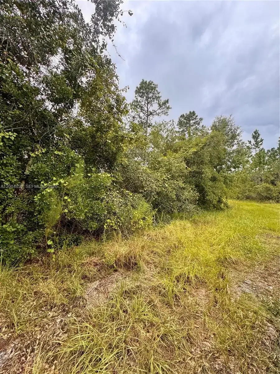 1219 Sable Palm, Other City - In The State Of Florida FL 32709 photo 3