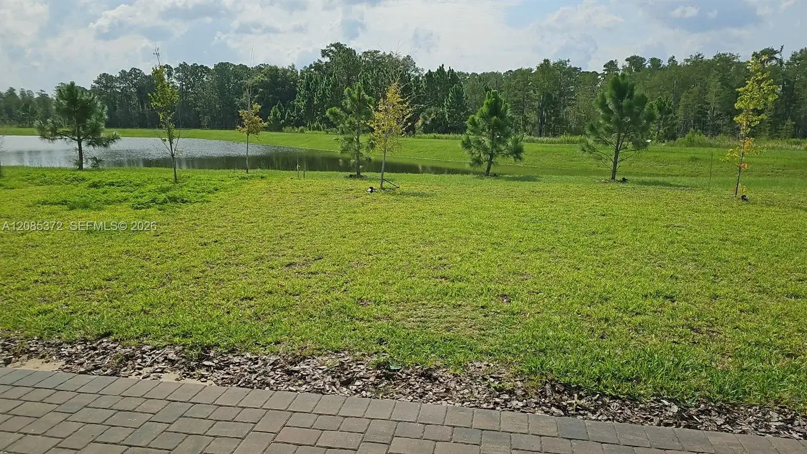 17571 SAW PALMETTO, Other City - In The State Of Florida FL 34714 photo 5