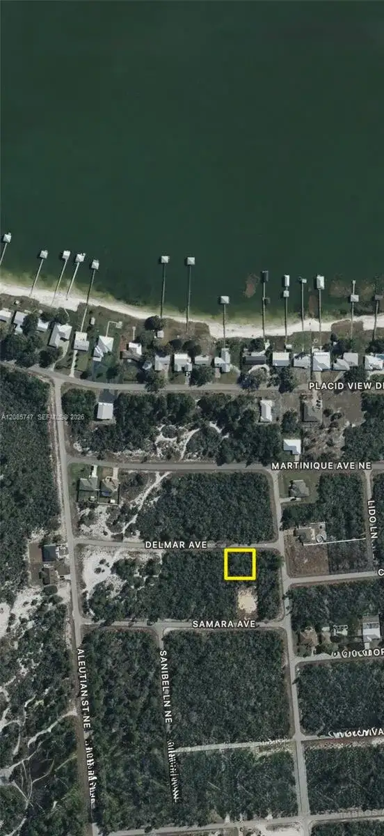 115 Delmar Ave, Lake Placid FL 33852 photo 3